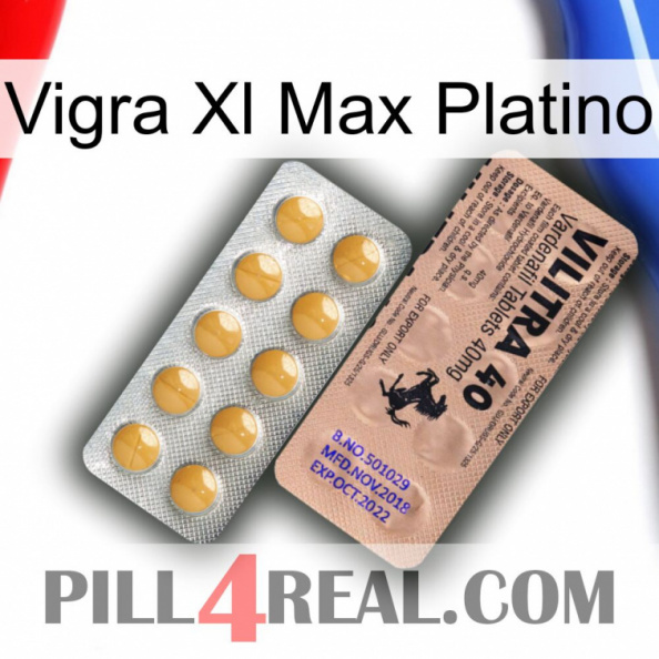 Vigra Xl Max Platinum 41.jpg